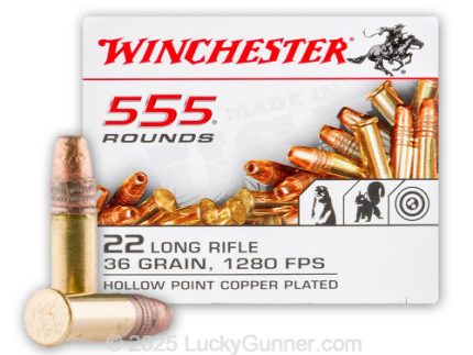 22 LR - 36 gr CPHP - Winchester - 5550 Rounds